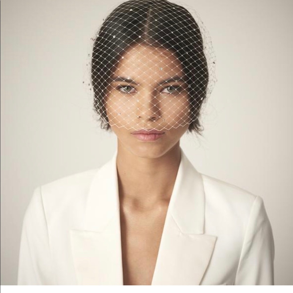 Birdcage veil